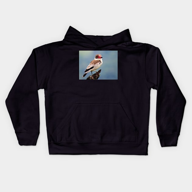 Exotic White Bird in Central America Photography Kids Hoodie by julyperson